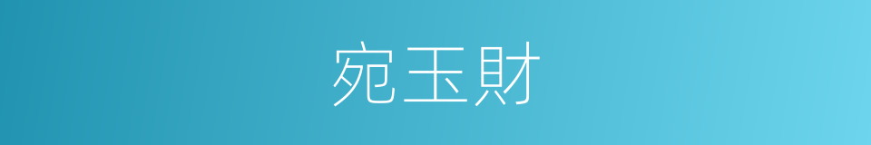 宛玉財的同義詞