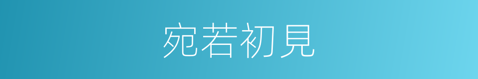 宛若初見的意思