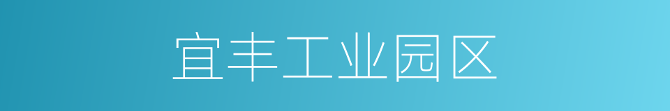 宜丰工业园区的同义词