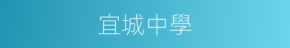 宜城中學的同義詞