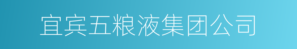 宜宾五粮液集团公司的同义词