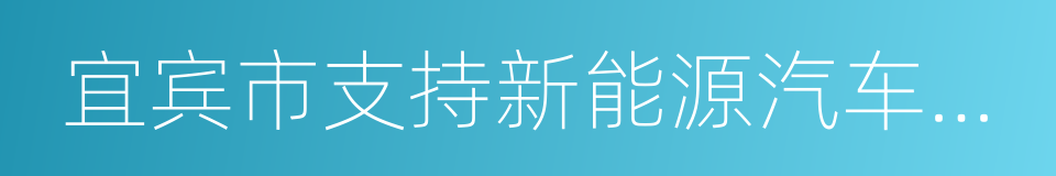 宜宾市支持新能源汽车产业发展的若干政策的同义词