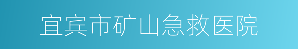 宜宾市矿山急救医院的同义词