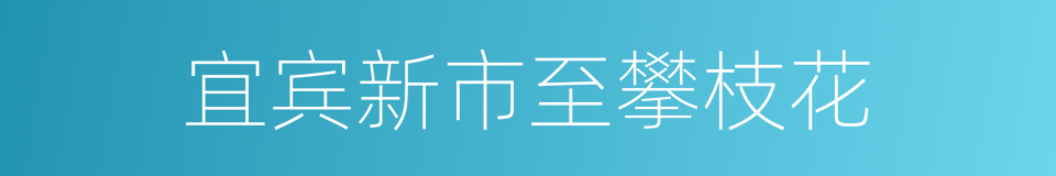 宜宾新市至攀枝花的同义词