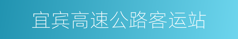 宜宾高速公路客运站的同义词