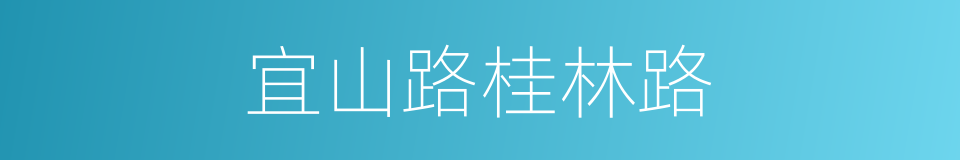 宜山路桂林路的同义词