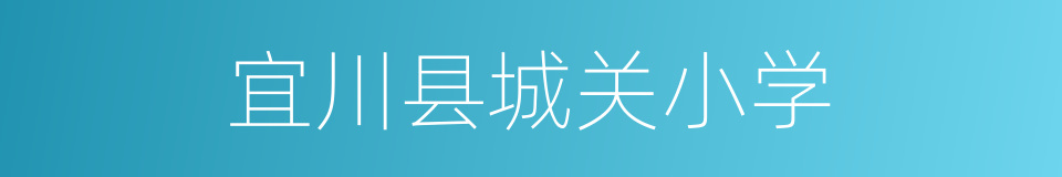 宜川县城关小学的同义词