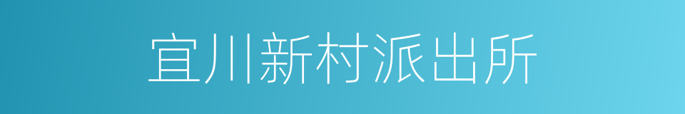 宜川新村派出所的同义词