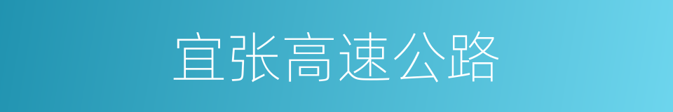 宜张高速公路的同义词