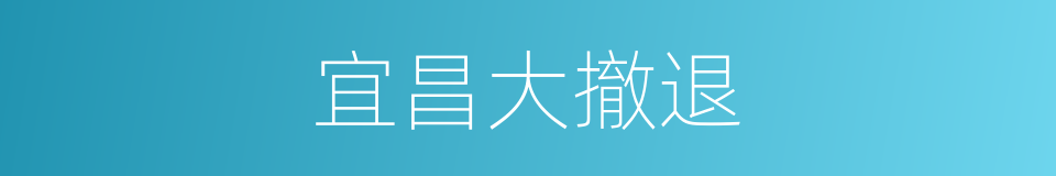宜昌大撤退的同义词
