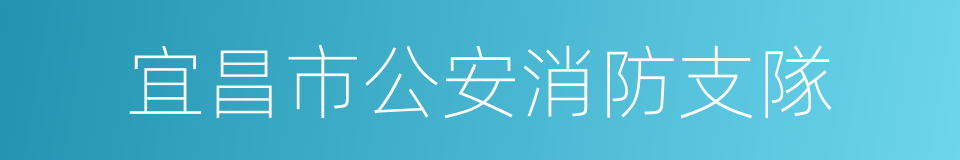 宜昌市公安消防支隊的同義詞