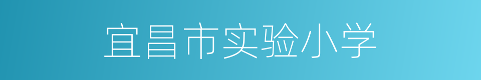 宜昌市实验小学的同义词