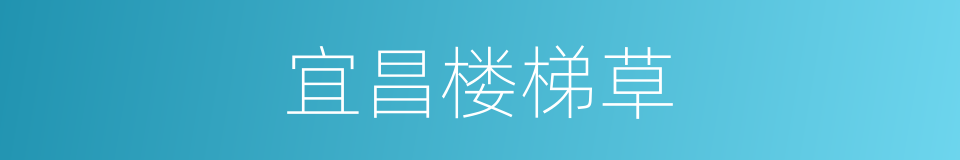 宜昌楼梯草的同义词