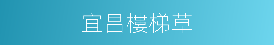 宜昌樓梯草的同義詞
