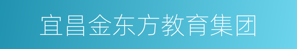 宜昌金东方教育集团的同义词