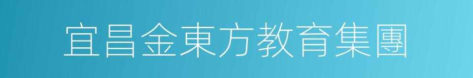 宜昌金東方教育集團的同義詞