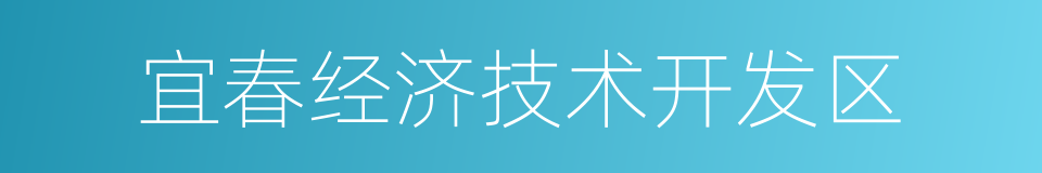 宜春经济技术开发区的同义词