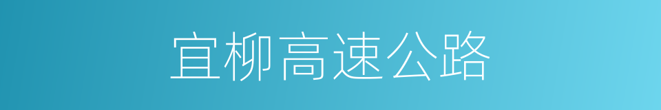 宜柳高速公路的同义词
