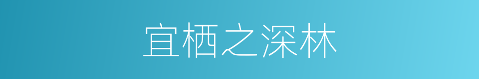 宜栖之深林的同义词