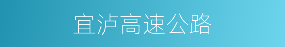 宜泸高速公路的同义词