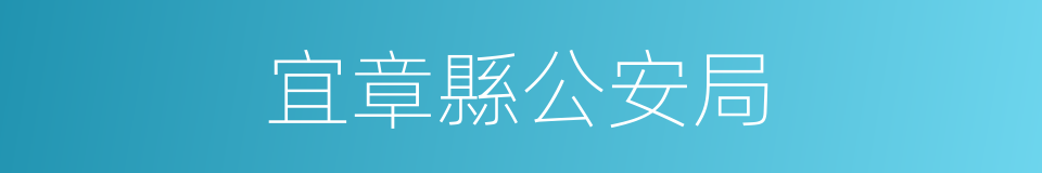 宜章縣公安局的同義詞