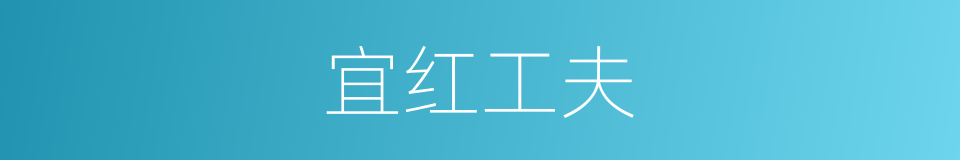 宜红工夫的同义词