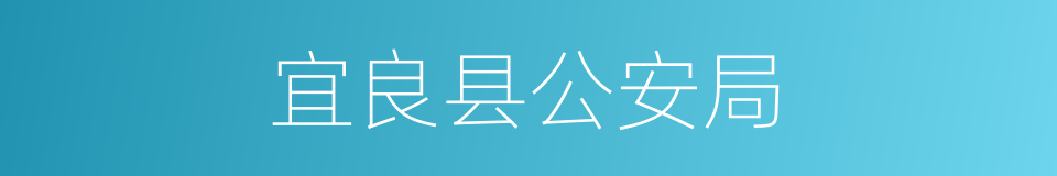 宜良县公安局的同义词
