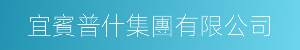 宜賓普什集團有限公司的同義詞