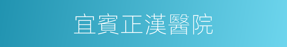 宜賓正漢醫院的同義詞