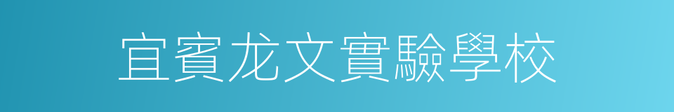 宜賓龙文實驗學校的同義詞