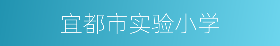 宜都市实验小学的同义词