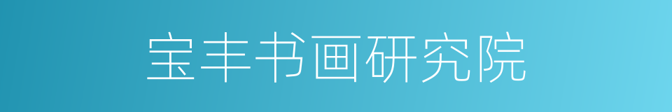 宝丰书画研究院的同义词