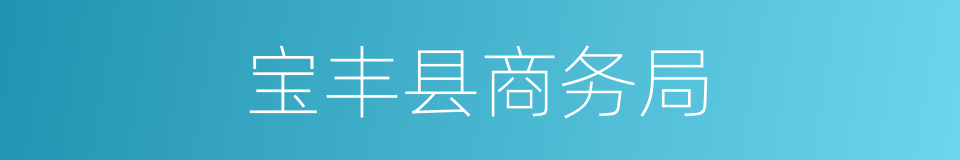 宝丰县商务局的同义词