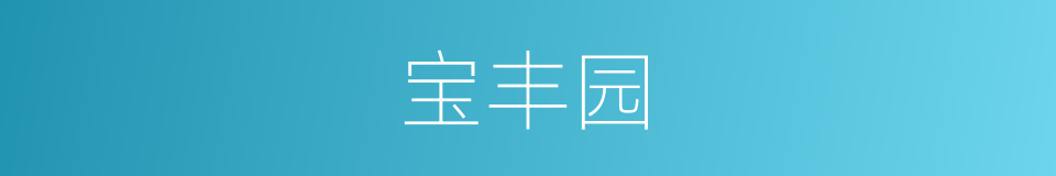 宝丰园的同义词