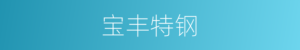 宝丰特钢的同义词