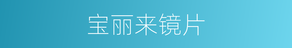 宝丽来镜片的同义词