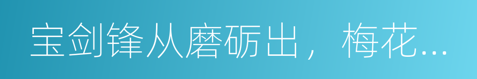 宝剑锋从磨砺出，梅花香自苦寒来的同义词