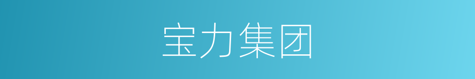 宝力集团的同义词