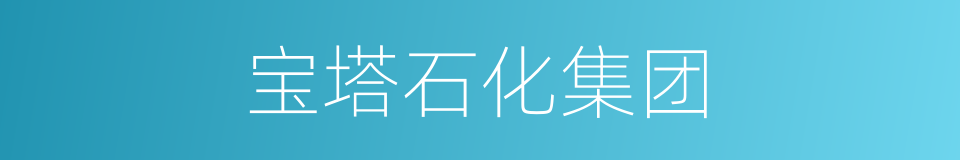 宝塔石化集团的同义词