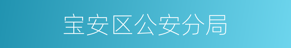 宝安区公安分局的同义词