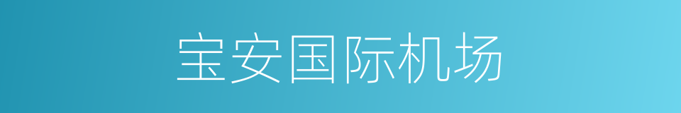 宝安国际机场的同义词