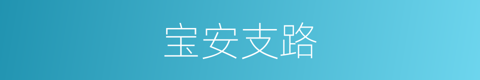 宝安支路的同义词