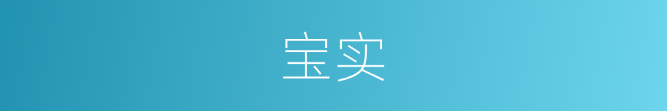 宝实的同义词