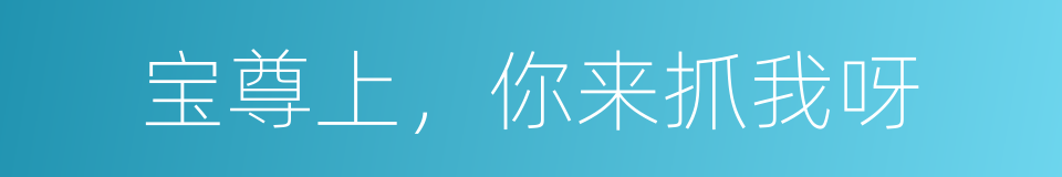 宝尊上，你来抓我呀的同义词