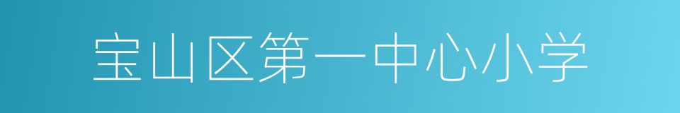 宝山区第一中心小学的同义词