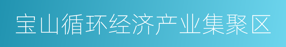 宝山循环经济产业集聚区的同义词