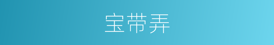 宝带弄的同义词