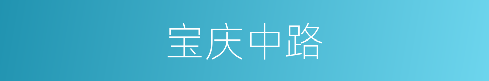 宝庆中路的同义词