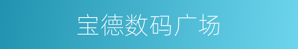 宝德数码广场的同义词
