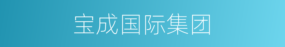 宝成国际集团的同义词